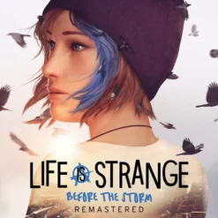 Life is Strange: Before the Storm Remastered - Steam Offline