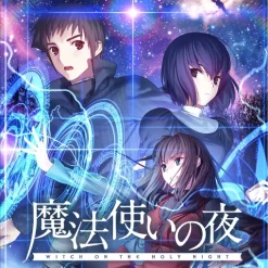 Witch on the Holy Night | Steam Offline